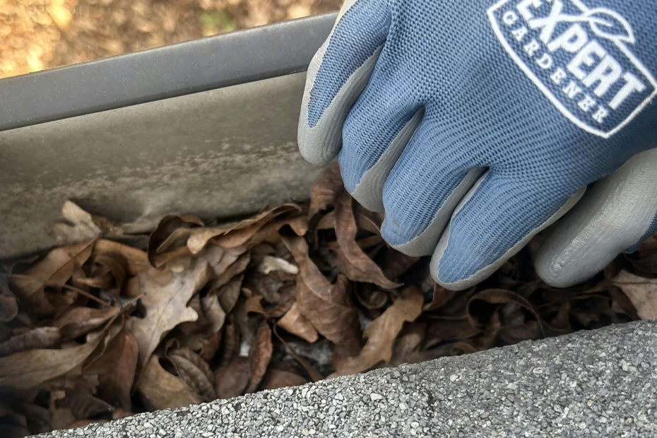 Gutter Cleaning Sibley