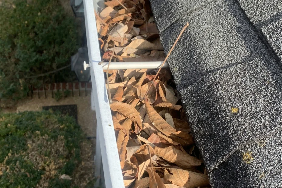 Gutter Cleaning Sibley