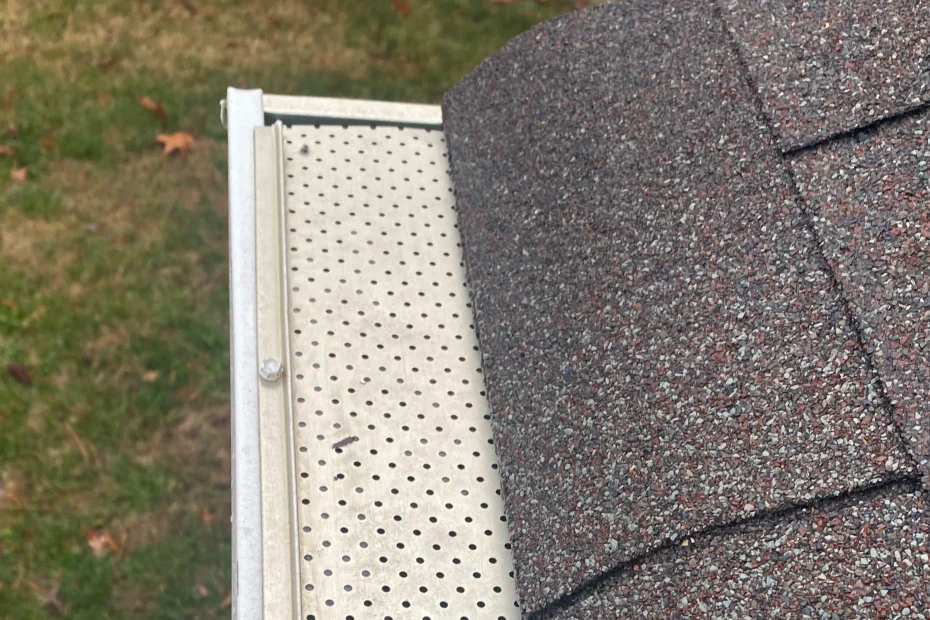 Gutter Cleaning Sibley