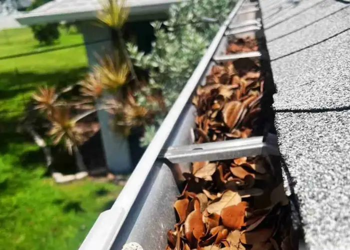 Gutter Cleaning Sibley home page